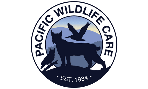 pacific wildlife care